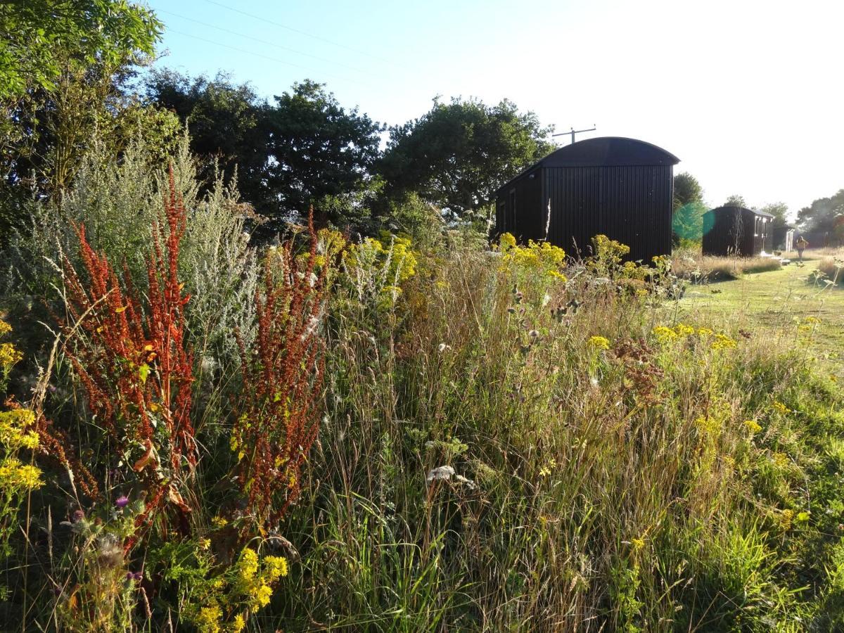 The Oaks Glamping - Pips Cabin Colkirk Exterior foto